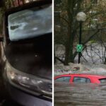 south carolina womans honda floats away in a flood when she finds it she has multiple parking tickets 68b874bcb38ca